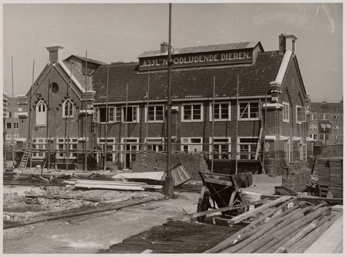 Het Dierenasyl in 1927 Dit lijkt m.i. een afbeelding van de verbouwing van de oude ammoniakfabriek tot Asiel in 1927!<br />Bron: Beeldbank, Stadsarchief Amsterdam (Polygoon). 