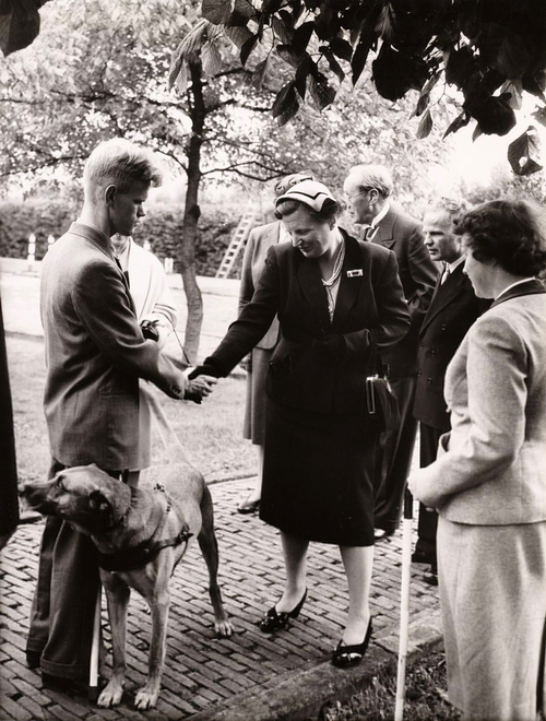  Bezoek van Koningin Juliana en Prins Bernhard aan de Blindegeleidenhondenschool. 1953<br />Foto: Beeldbank Stadsarchief Amsterdam 