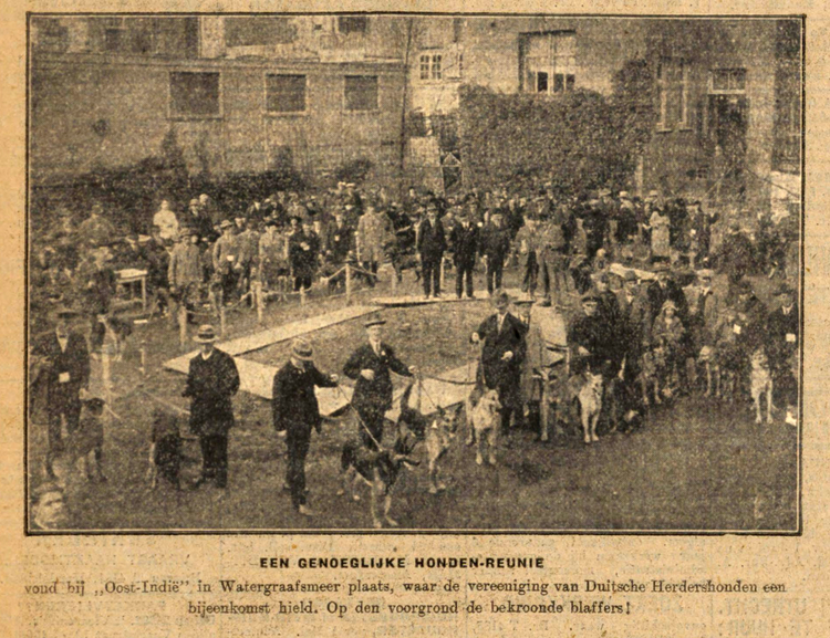 07 april 1925 - Een genoeglijke honden reunie  