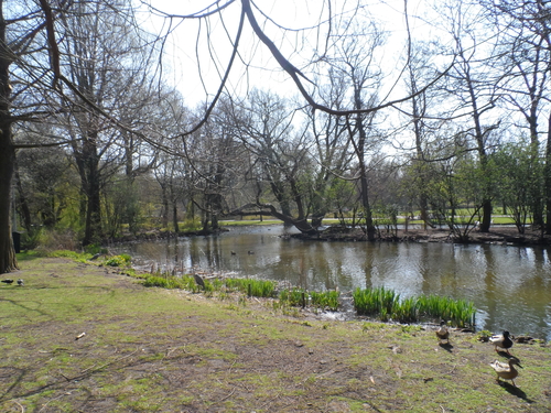 Vijver Oosterpark in pril lentegroen. Foto Hanz van Onna, 2013 