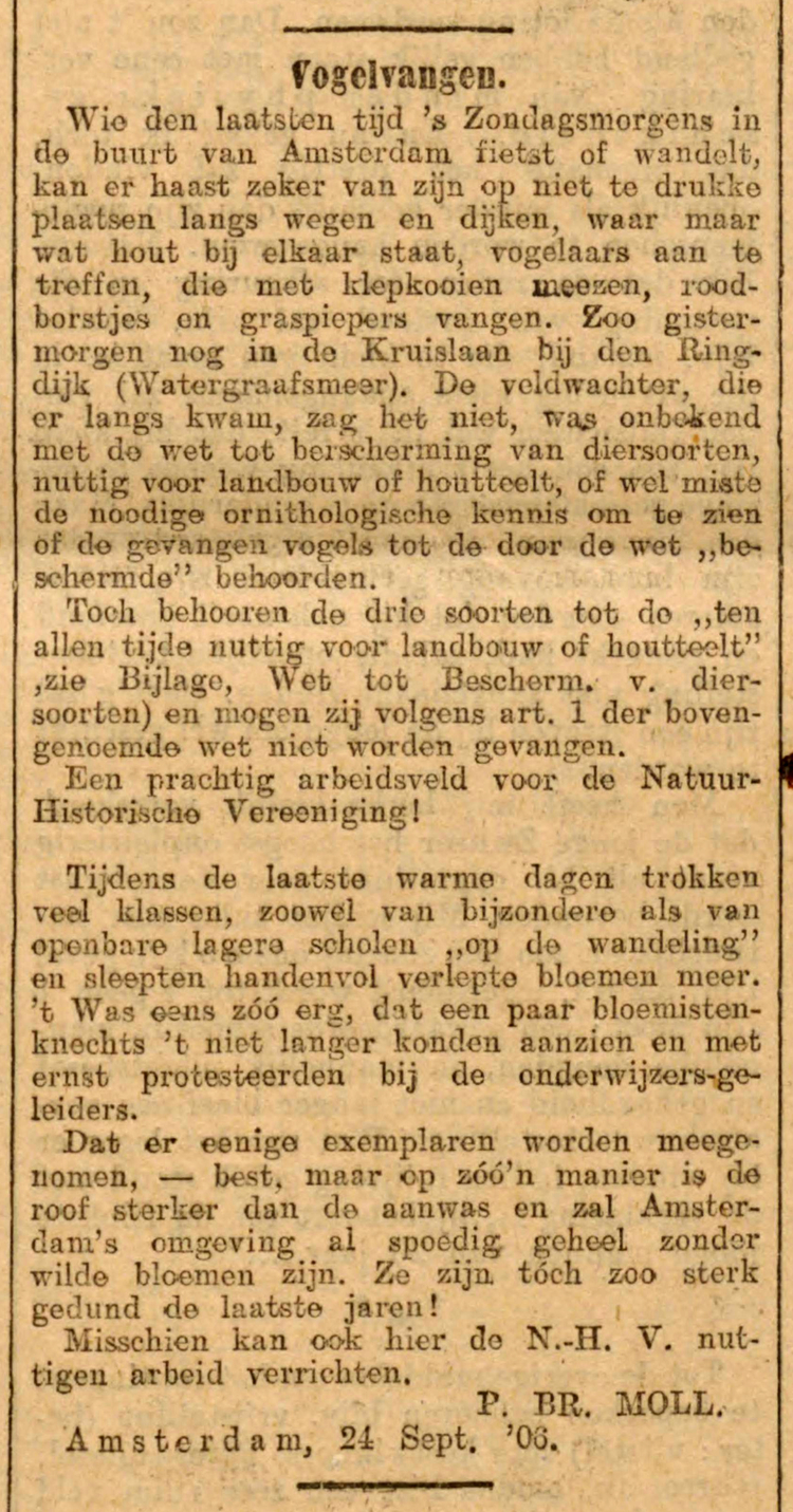 29 juni 1906 - Vogelvangen  