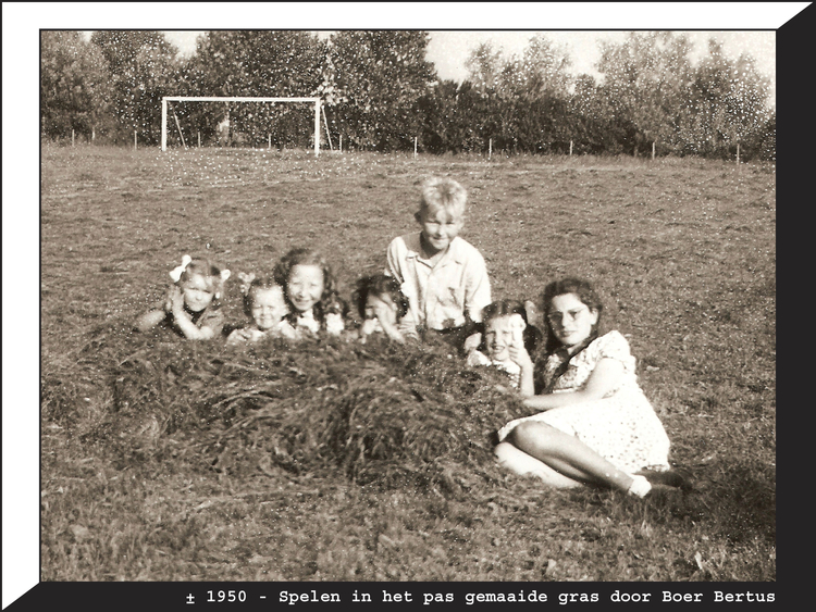 Nr. 136 ± 1950 Spelen in het pas gemaaide gras (door Boer Bertus), o.a. Nico Meijer, Hanneke Kaales, Corrie van Vegten, Thea, Carla en Hennie Wessels. 