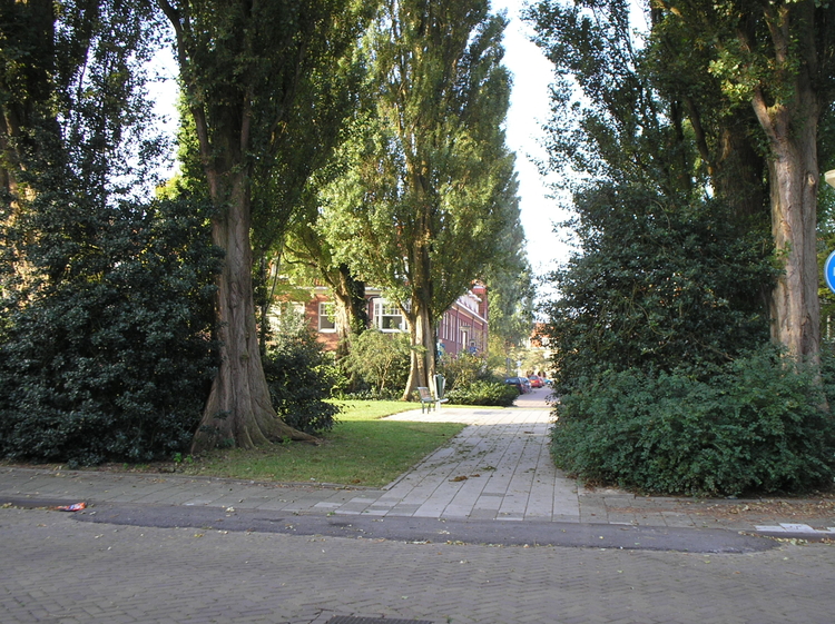  De doorgang op de Radioweg (anno 2006) tussen de Galvanistraat en de Pascalstraat. De doorgang op de Radioweg tussen de Galvanistraat en de Pascalstraat (anno 2006). Op de hoek aan de overkant links zat vroeger de slager. 