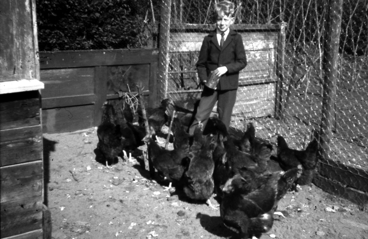 John in het kippenhoek Foto 3 zwart wit .<br />Foto: John Kars 