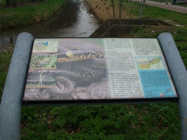 Bord met foto van slang Dit bord staat bij het bruggetje over de sloot langs het fietspad van de Radioweg, even voorbij de Jaap Edenbaan. De informatie gaat over het Ecolint. 