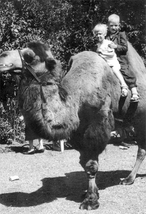  "Altijd leuke kiekjes": Nelly met haar broertje op het kameel in Artis (1944). 