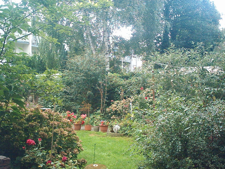 De tuin De inmiddels opgehoogde tuin wordt goed bijgehouden (foto gemaakt in september 2006). 