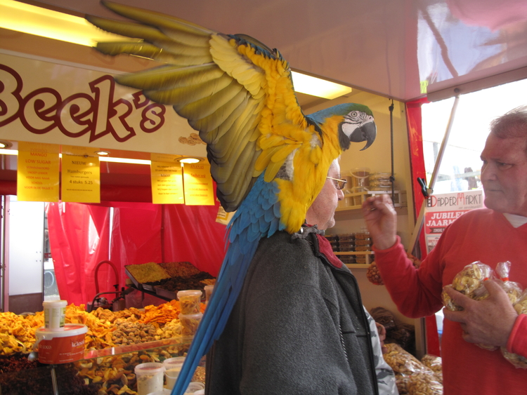 Bij de notenkraam Deze klant komt speciaal om lekkers te kopen voor zijn papegaai naar de notenkraam op de Dappermarkt. "Want hier kan ik nog onderhandelen over de prijs". 