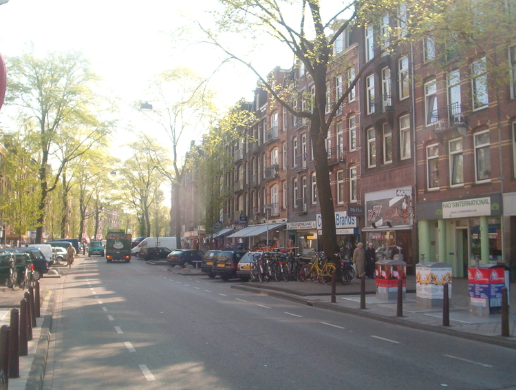  De Javastraat in mei 2003,  met voor de zaak van Ria en Wim een honderd jaar oude boom . De Javastraat in 2003, op nummer 6 (het pand rechts met de lichtgroene pui) is waar Wil opgroeide. 
