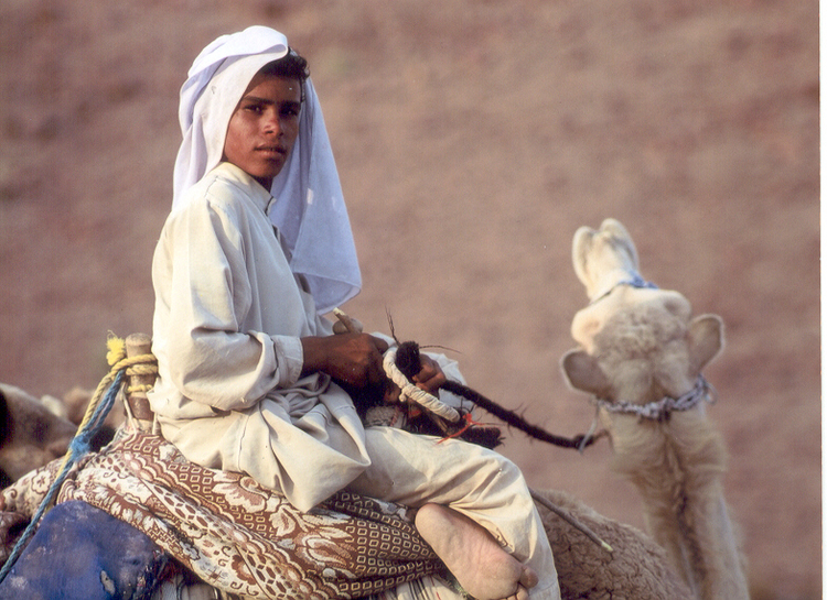 Jongen Jongen op kameel in een karavaan. Sinai woestijn, Egypte, (c) 2001 Sam Huibers 