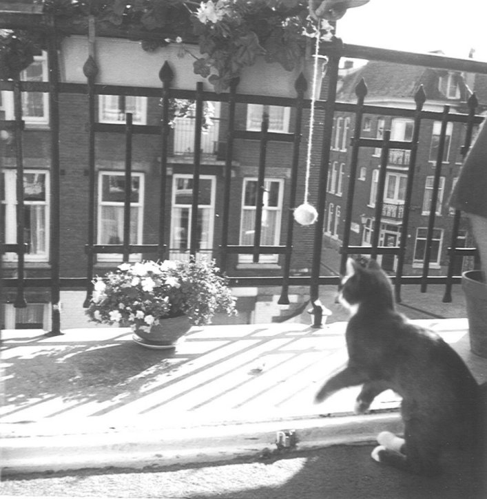  Hoek Paardekraalstraat in 1970 met links de kapper Jimmink (net niet zichtbaar op de foto) en rechts de kolenboer. 