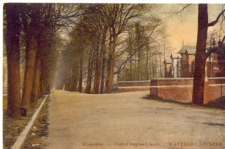  De Kruislaan rond 1930 met de twee rijen bomen in zijn oude glorie. Rechts de ingang van de Oosterbegraafplaats. (Foto met dank aan Dolf Haen) 