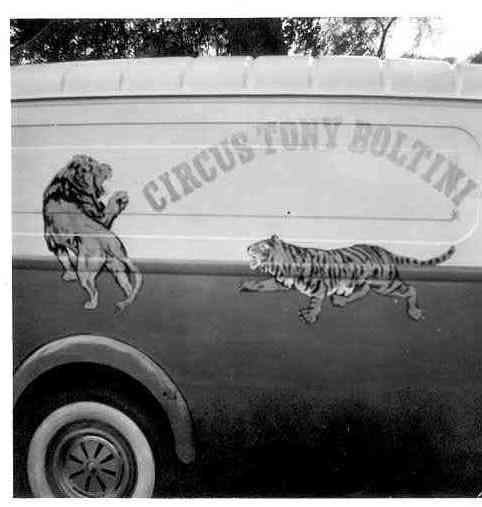 wonder 2 Ben schilderde een tijger en een leeuw op de circuswagen. 