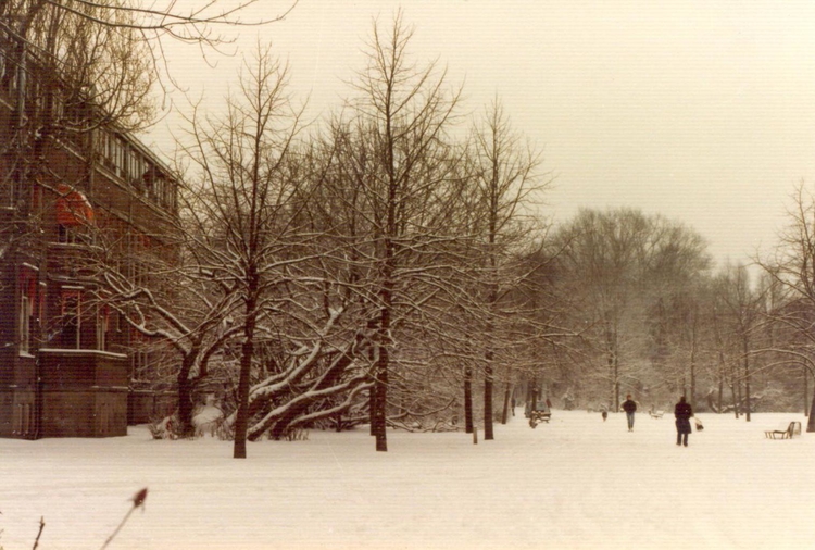  Het heerlijke Oosterpark in de winter van 1980/1981, met links het Laboratorium voor de Gezondheidsleer. 