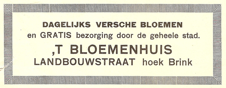 Hoek Landbouwstraat 58 - Brink - 1929  