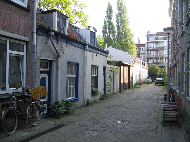 Linnaeusdwarsstraat  