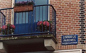  In 1947 woonden ze op een bovenetage aan de Linnaeusparkweg. 