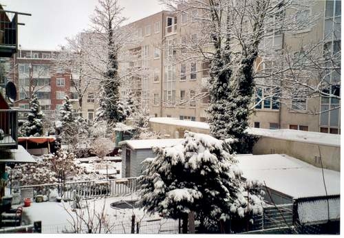 Mijn eerste sneeuwdag - sneeuw in de achtertuin. aan de Tugelaweg, 2000. 