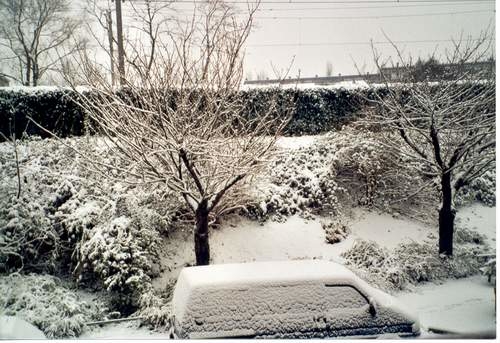 Mijn eerste sneeuwdag - sneeuw op de Tugelaweg., Ik hou nog altijd van sneeuw - deze foto is het uitzicht van mijn raam op de Tugelaweg, 2000. 