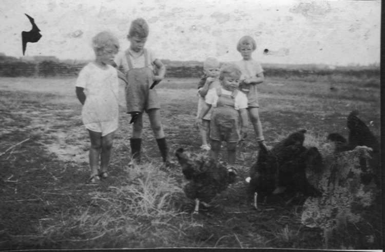Mijn kindertijd - nog geen bebouwing.jpg Er was in 1952 nog geen bebouwing tegenover ons huis aan de Finsenstraat. Op de foto drie kinderen van der Wusten, links Heleen en Kees, vooraan Claartje. 
