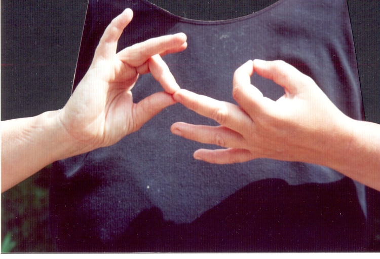 Dharma chacra mudra Mudra's zijn de handgebaren van de Boeddha. Deze beeldt de dharma uit, de leer van Boeddha. 