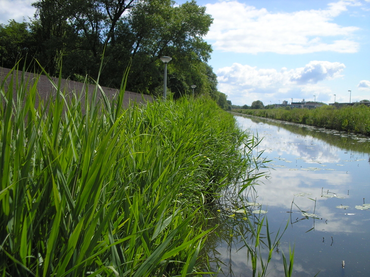 De plek des onheils. Links de muur van de begraafplaats. Rechts de Oosterringdijk, waar eens de gasfabriek stond en in het midden het water van de ringvaart .  