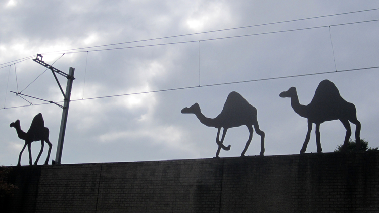 Het kunstwerk met kamelen/drommedarissen...  