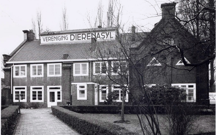 Polderweg 120 - 1974 .<br />Foto: Beeldbank Amsterdam 