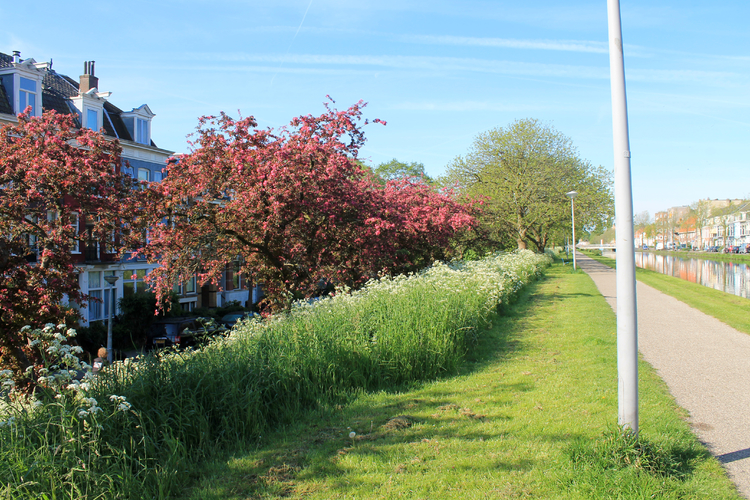 Ringdijk 10 mei 2015 .<br />Foto: Jo Haen 