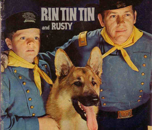 Rin Tin Tin. Posteradvertentie voor één van de vele films met Rin Tin Tin. Poster is via vele bronnen te vinden. 