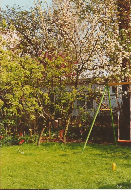 tuin Vrolikstraat Zo stond de tuin erbij in april 1990. foto Rose Batholomé. 
