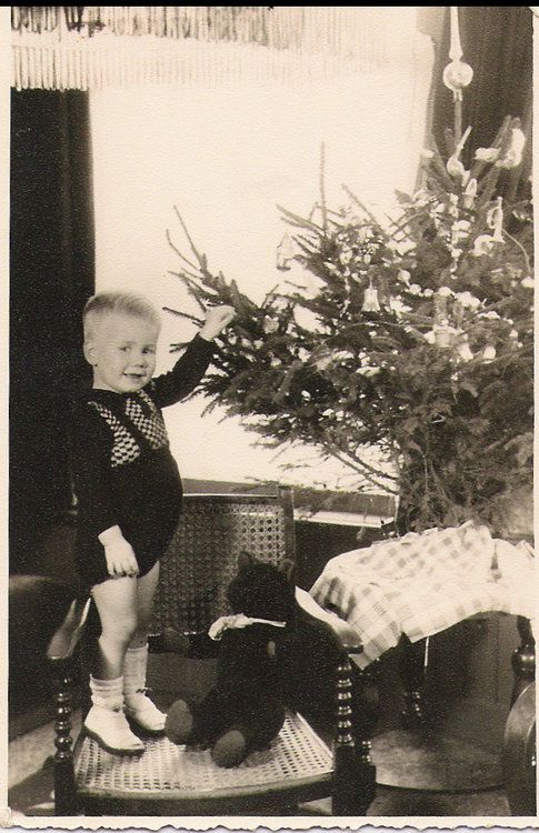  Beeld van een onbezorgde jeugd: Kees Zijp met zijn bruine beer bij de Kerstboom (Kerst 1953 of 1954). 