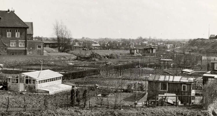 Volkstuinenpark Linnaeus Ooster Ringdijk - ± 1950 .<br />Links is nog een gedeelte te zien van de voormalige Watergraafsmeerse Gasfabriek die in 1930 is opgeheven al bleef de woning nog een aantal jaren staan..<br />Foto: Beeldbank Amsterdam 