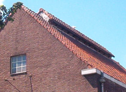 Zoekt wat u samenbindt - ventilatiekap.JPG De karakteristieke ventilatiekap op het dak van het dierenasiel, 2003.  Vroeger werd in dit gebouw ammoniak vervaardigd. 