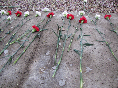 Een moment van herdenking, Het monument bij Sobibor. Ik heb (in 2010) samen met de andere mensen van het Auschwitz Comité bloemen gelegd. Namens Carla Kaplan-Gobitz heb ik steentjes gelegd (meegenomen uit Nederland). Foto: Frits Slicht 