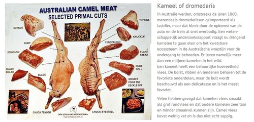 Van de website: Vers – inpsiratie.nl https://www.vers-inspiratie.nl/vlees-be-en-verwerken/de-snit-wereldwijd   
