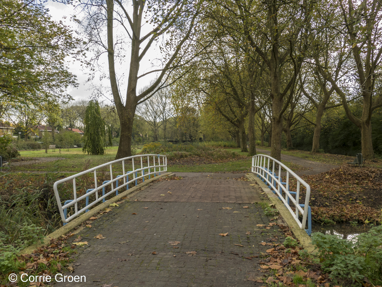 Ingang park aan de Hugo de Vrieslaan.  