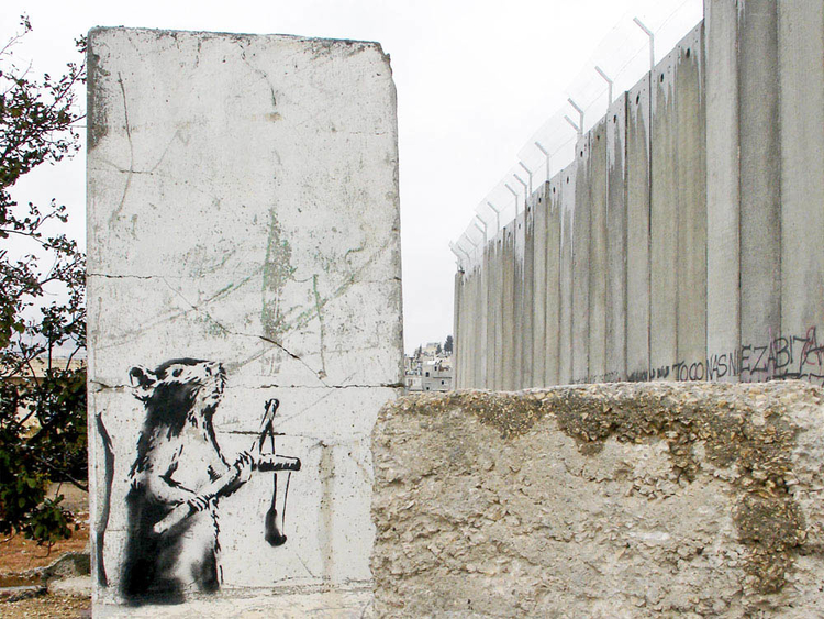 Banksy-rat, ongeziene gedachteknager,  bij de Westoever-muur [ google/educatief ]   