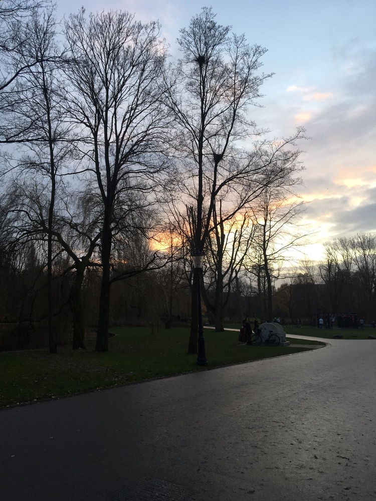 wandelen en sporten in Oosterpark  
