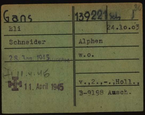 Registratie kaart van Eli Gans met de geboorteplaats Alphen, bron: Arolsen Archives  