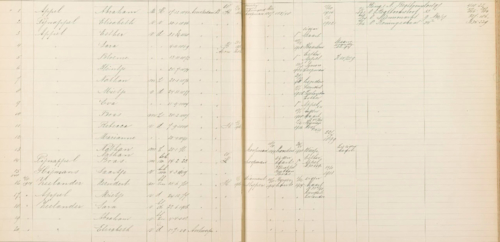 Overgenomen delen met alle informatie over het gezin van Abraham Appel, bron: Indexen SAA.  