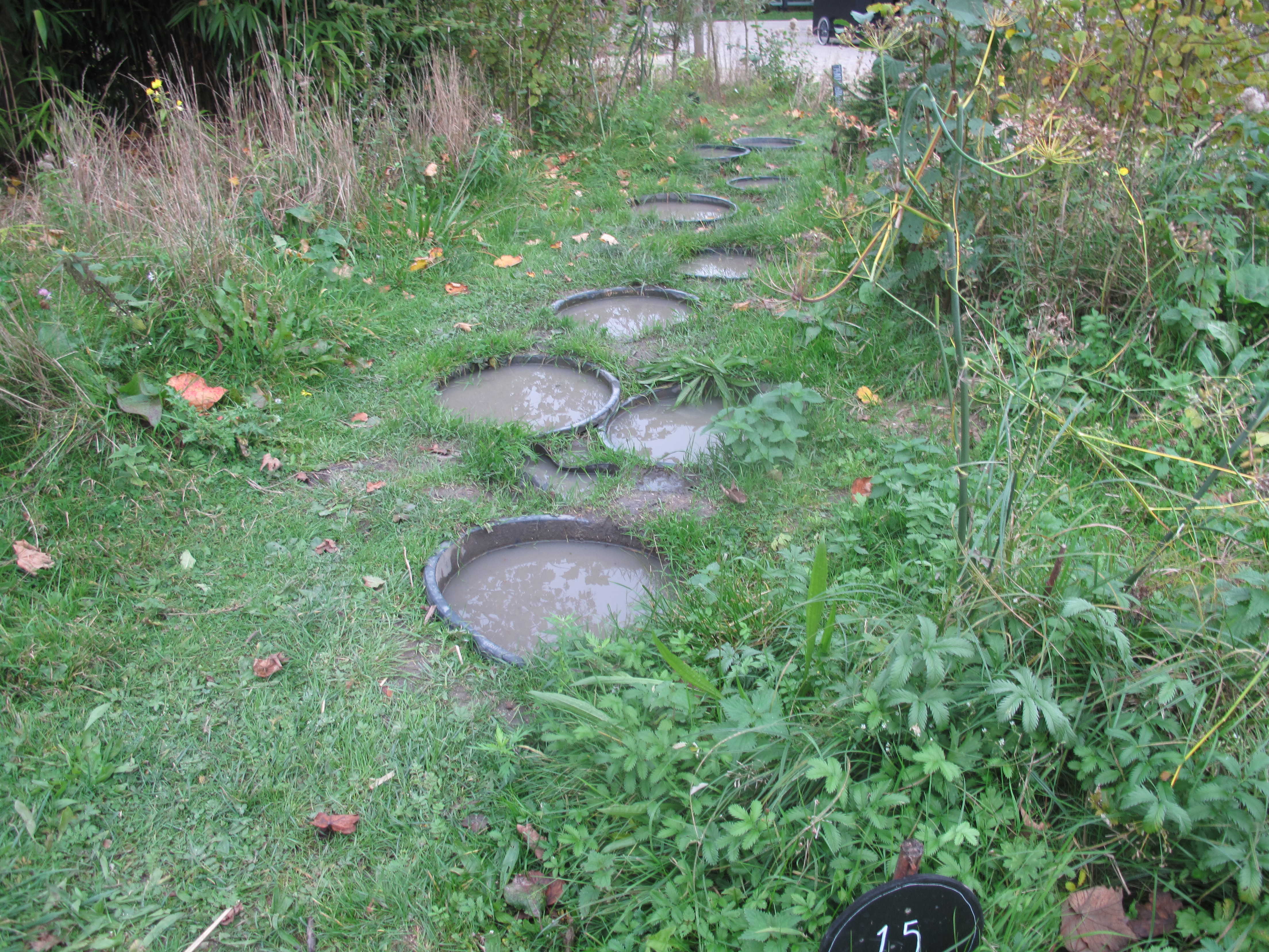 Een Hemelse Tuin Voor Alle Zintuigen Geheugen Van Oost