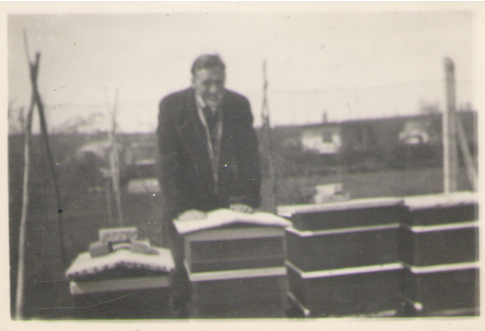De Volkstuin, mijn trotse vader met zijn bijenkasten. Eigen foto (1950)  