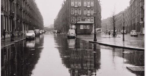 Atjehpleintje in de regen - fotograaf  Weeda, Frits (1937-)  