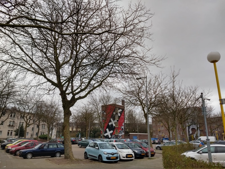 graffiti over Amsterdam  