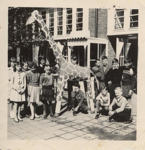 giraf, foto uit privé bezit  