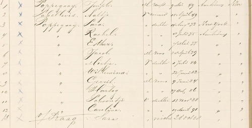 Overzicht gezin Poppegaai in 1892 (ongeveer), adres: Commelinstraat 30, bron: indexen - bev.reg. 1874 -1893.  