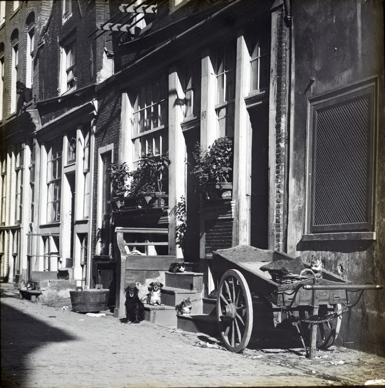 Foto gemaakt door Jacob Olie van de Ridderstraat 81-99 (ged.) gezien in westelijke richting, sept. 1902, bron: collectie Jacob Olie Jbz, SAA  