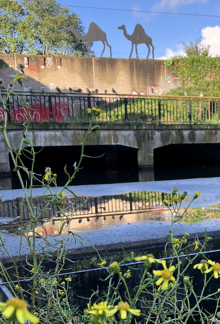 Marga  'Ringdijk spoor'  kunst in OOST  