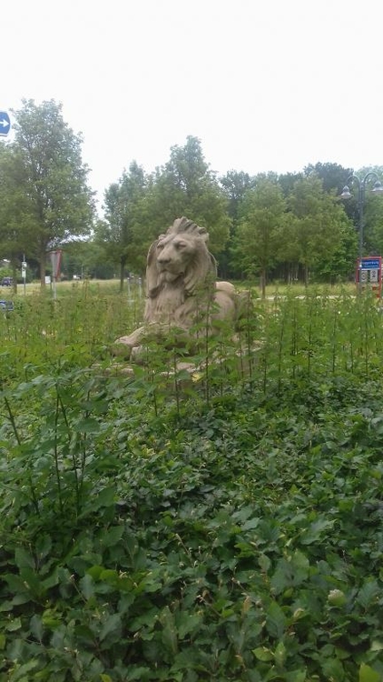 Een echte leeuw van Zeeburg,nu te zien bij de rotonde bij Kraggenburg, foto Jan Dijk  
